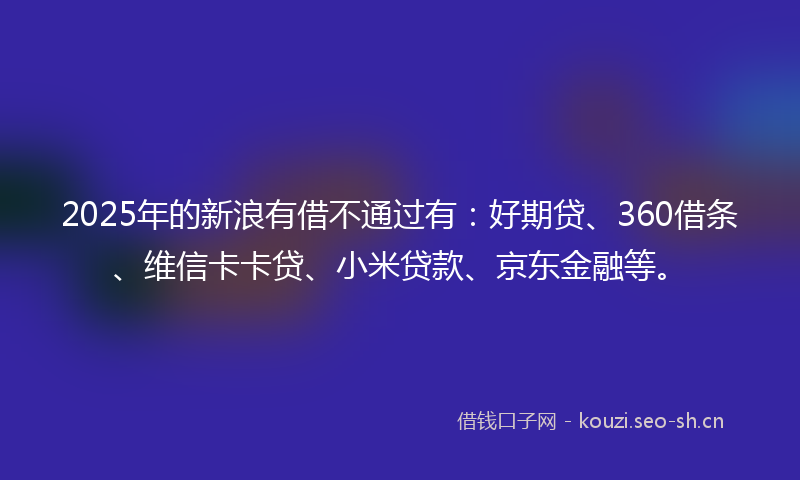 2025年的新浪有借不通过有：好期贷、360借条、维信卡卡贷、小米贷款、京东金融等。