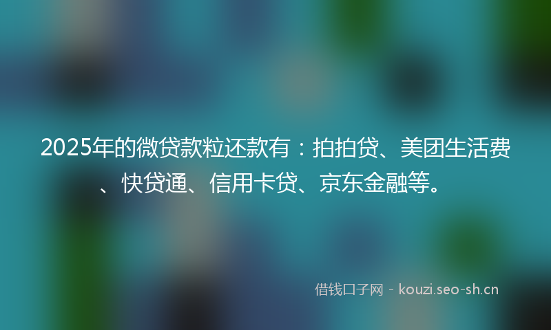 2025年的微贷款粒还款有：拍拍贷、美团生活费、快贷通、信用卡贷、京东金融等。
