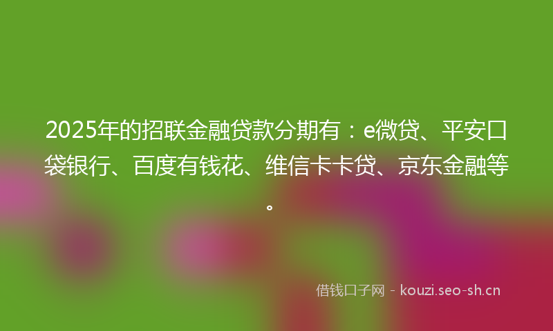 2025年的招联金融贷款分期有：e微贷、平安口袋银行、百度有钱花、维信卡卡贷、京东金融等。