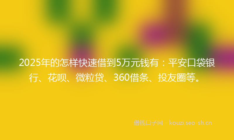 2025年的怎样快速借到5万元钱有：平安口袋银行、花呗、微粒贷、360借条、投友圈等。