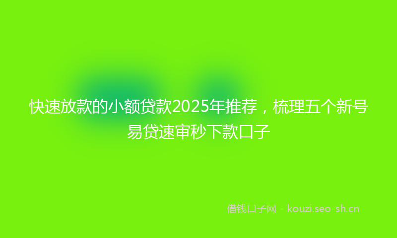 快速放款的小额贷款2025年推荐，梳理五个新号易贷速审秒下款口子