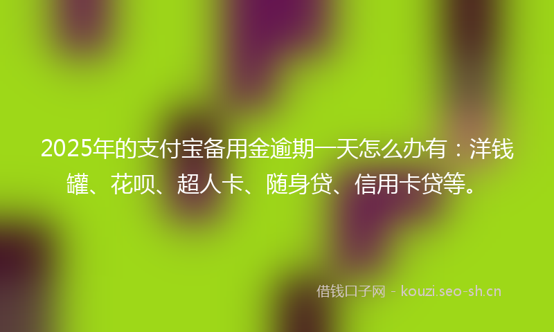 2025年的支付宝备用金逾期一天怎么办有：洋钱罐、花呗、超人卡、随身贷、信用卡贷等。