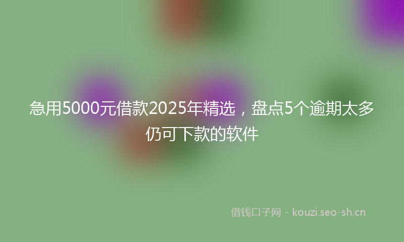 急用5000元借款2025年精选，盘点5个逾期太多仍可下款的软件