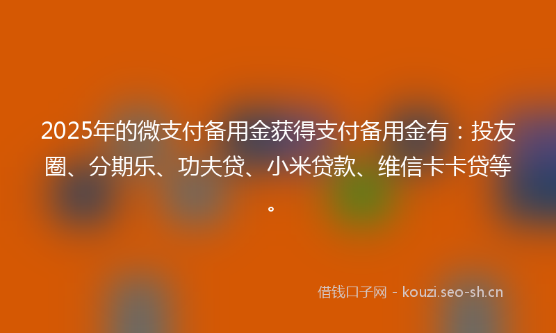 2025年的微支付备用金获得支付备用金有：投友圈、分期乐、功夫贷、小米贷款、维信卡卡贷等。