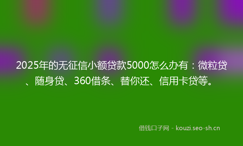 2025年的无征信小额贷款5000怎么办有：微粒贷、随身贷、360借条、替你还、信用卡贷等。