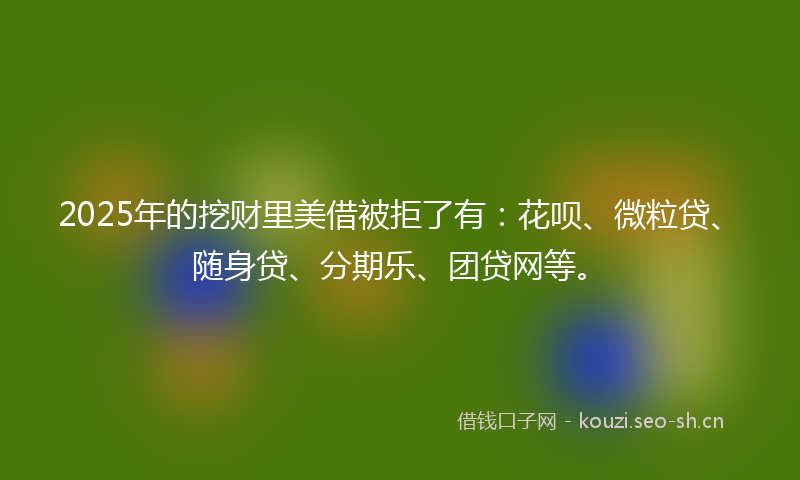 2025年的挖财里美借被拒了有：花呗、微粒贷、随身贷、分期乐、团贷网等。