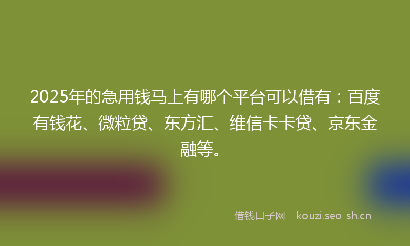 2025年的急用钱马上有哪个平台可以借有:百度有钱花、微粒贷、东方汇、维信卡卡贷、京东金融等。
