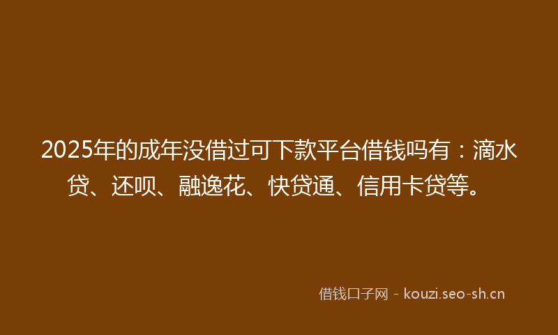 2025年的成年没借过可下款平台借钱吗有：滴水贷、还呗、融逸花、快贷通、信用卡贷等。