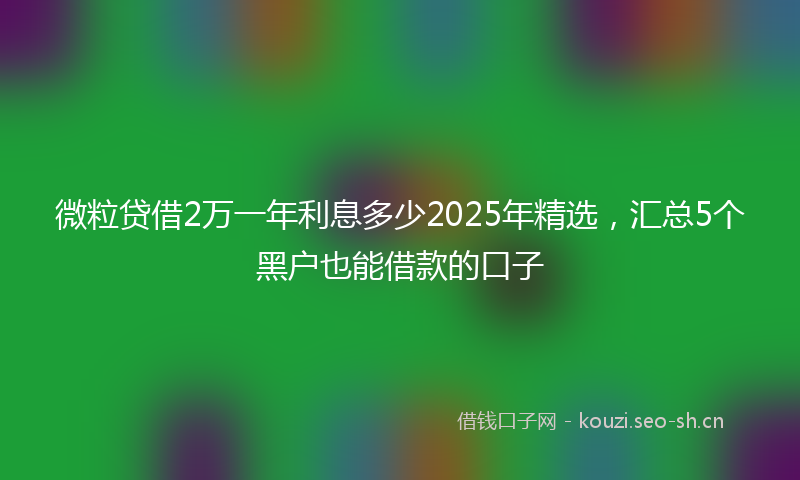 微粒贷借2万一年利息多少2025年精选，汇总5个黑户也能借款的口子