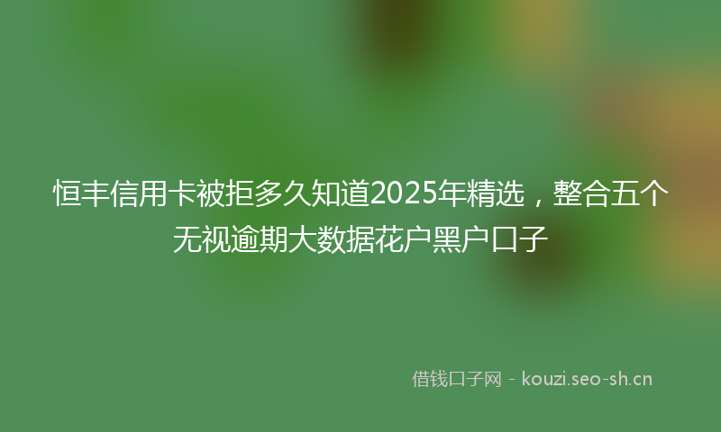 恒丰信用卡被拒多久知道2025年精选，整合五个无视逾期大数据花户黑户口子