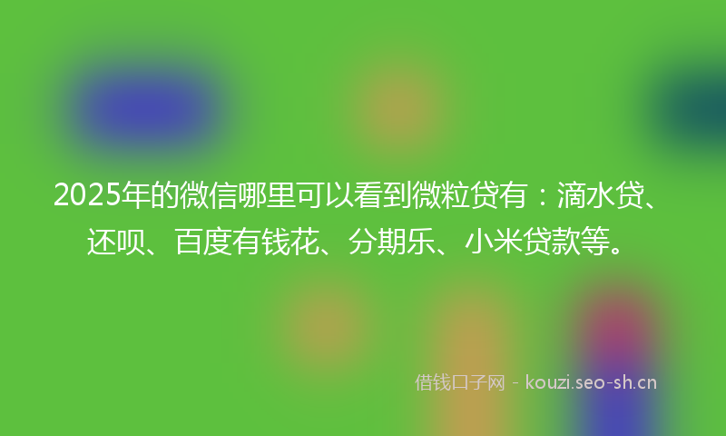 2025年的微信哪里可以看到微粒贷有:滴水贷、还呗、百度有钱花、分期乐、小米贷款等。