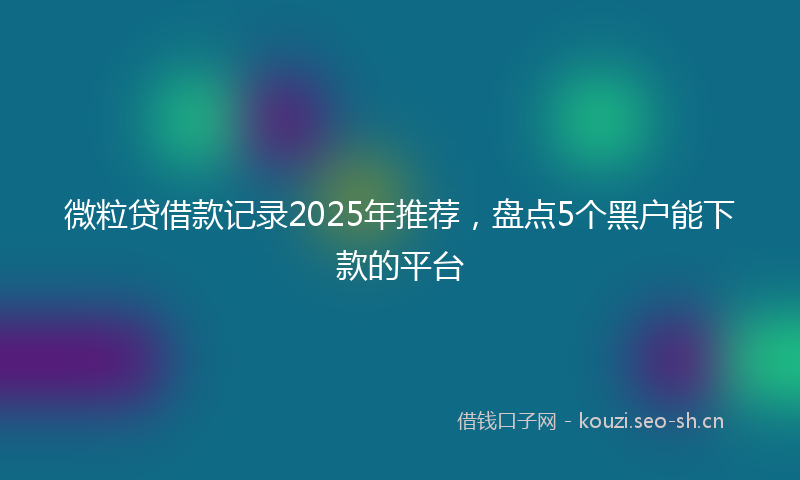 微粒贷借款记录2025年推荐，盘点5个黑户能下款的平台