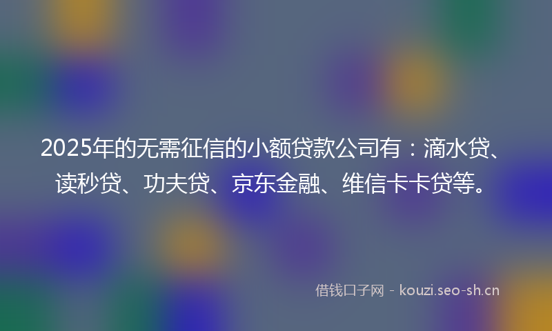2025年的无需征信的小额贷款公司有：滴水贷、读秒贷、功夫贷、京东金融、维信卡卡贷等。
