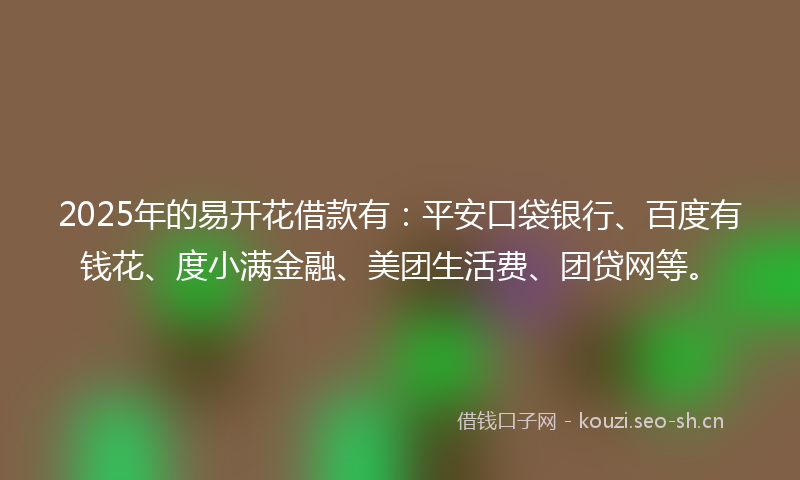 2025年的易开花借款有：平安口袋银行、百度有钱花、度小满金融、美团生活费、团贷网等。