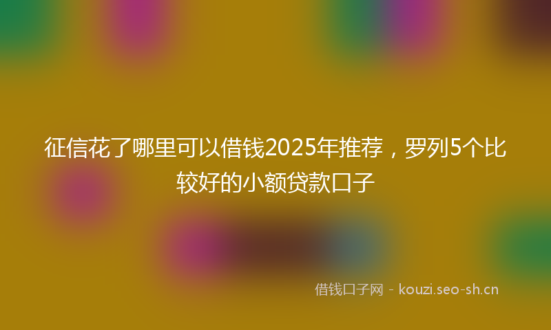 征信花了哪里可以借钱2025年推荐，罗列5个比较好的小额贷款口子