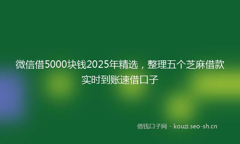 微信借5000块钱2025年精选，整理五个芝麻借款实时到账速借口子