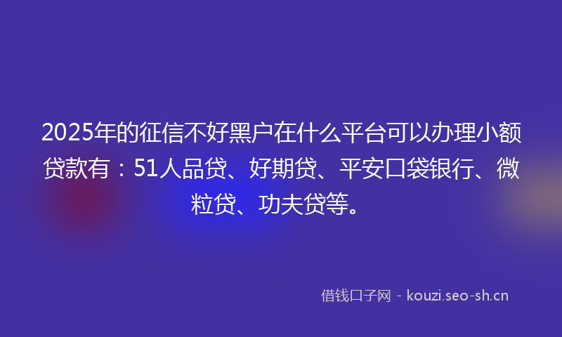2025年的征信不好黑户在什么平台可以办理小额贷款有：51人品贷、好期贷、平安口袋银行、微粒贷、功夫贷等。