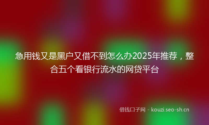 急用钱又是黑户又借不到怎么办2025年推荐，整合五个看银行流水的网贷平台