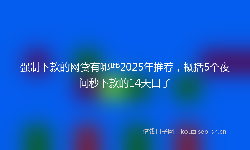 强制下款的网贷有哪些2025年推荐，概括5个夜间秒下款的14天口子