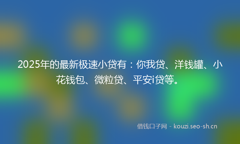 2025年的最新极速小贷有：你我贷、洋钱罐、小花钱包、微粒贷、平安i贷等。