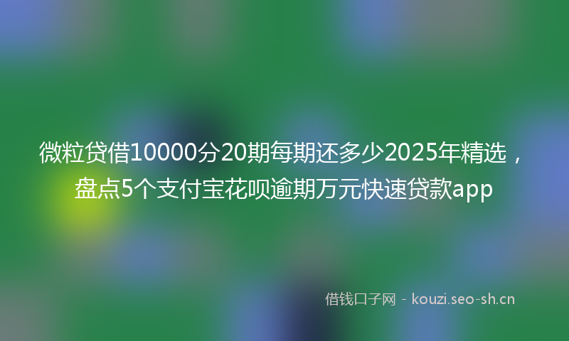 微粒贷借10000分20期每期还多少2025年精选，盘点5个支付宝花呗逾期万元快速贷款app