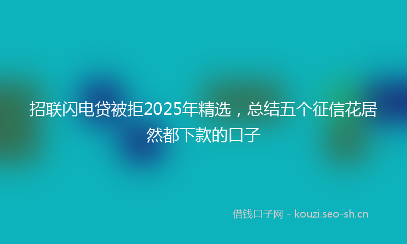 招联闪电贷被拒2025年精选，总结五个征信花居然都下款的口子