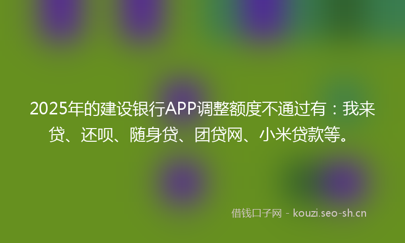 2025年的建设银行APP调整额度不通过有：我来贷、还呗、随身贷、团贷网、小米贷款等。