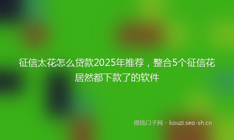 征信太花怎么贷款2025年推荐，整合5个征信花居然都下款了的软件