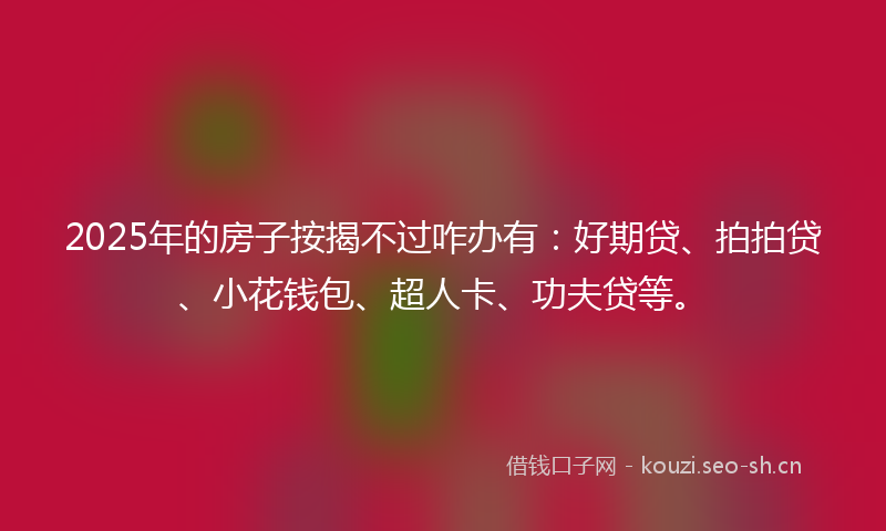 2025年的房子按揭不过咋办有：好期贷、拍拍贷、小花钱包、超人卡、功夫贷等。