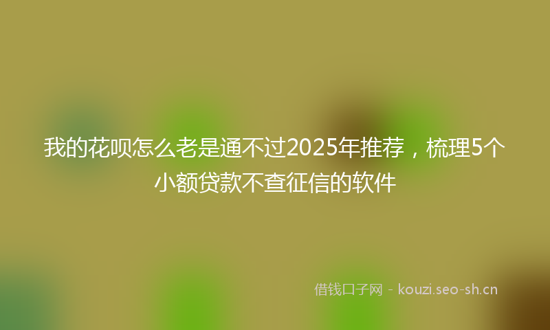 我的花呗怎么老是通不过2025年推荐，梳理5个小额贷款不查征信的软件