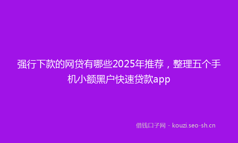 强行下款的网贷有哪些2025年推荐，整理五个手机小额黑户快速贷款app