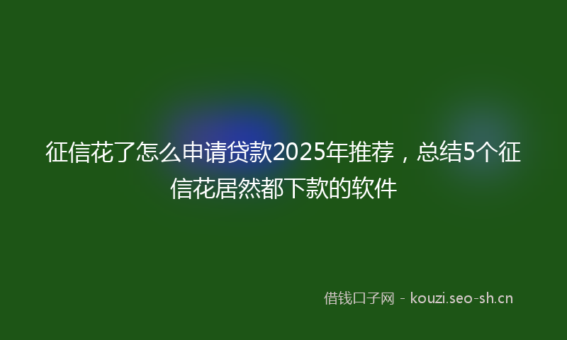 征信花了怎么申请贷款2025年推荐,总结5个征信花居然都下款的软件