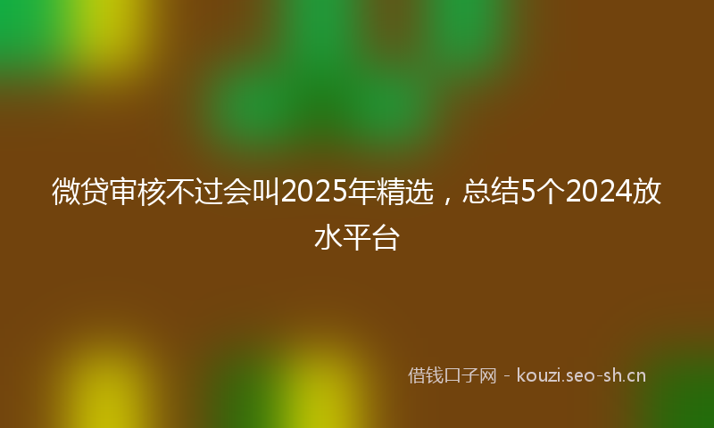 微贷审核不过会叫2025年精选，总结5个2024放水平台