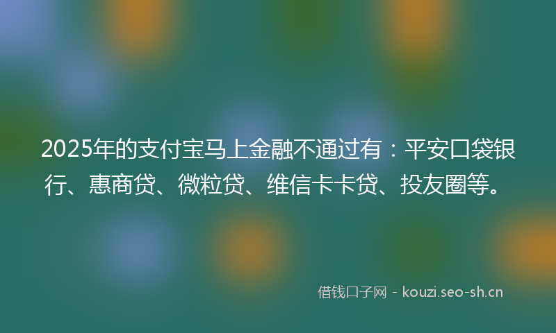 2025年的支付宝马上金融不通过有：平安口袋银行、惠商贷、微粒贷、维信卡卡贷、投友圈等。