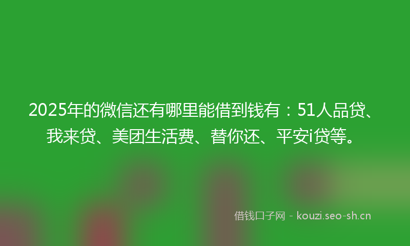 2025年的微信还有哪里能借到钱有：51人品贷、我来贷、美团生活费、替你还、平安i贷等。