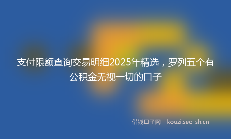 支付限额查询交易明细2025年精选，罗列五个有公积金无视一切的口子