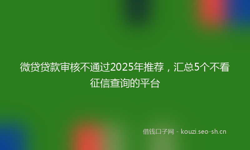 微贷贷款审核不通过2025年推荐，汇总5个不看征信查询的平台