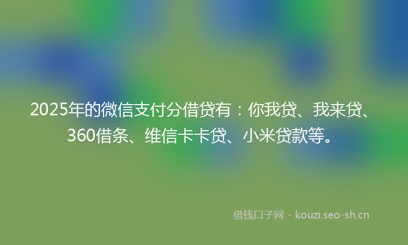2025年的微信支付分借贷有：你我贷、我来贷、360借条、维信卡卡贷、小米贷款等。