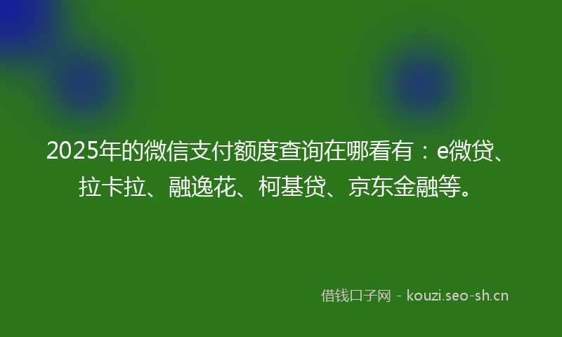 2025年的微信支付额度查询在哪看有：e微贷、拉卡拉、融逸花、柯基贷、京东金融等。