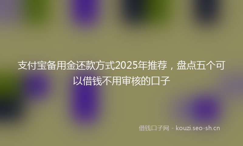 支付宝备用金还款方式2025年推荐，盘点五个可以借钱不用审核的口子