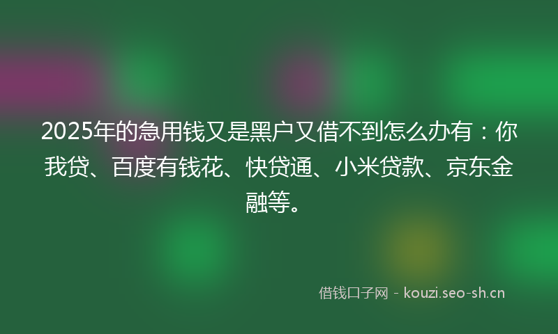 2025年的急用钱又是黑户又借不到怎么办有：你我贷、百度有钱花、快贷通、小米贷款、京东金融等。