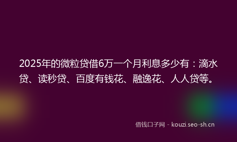2025年的微粒贷借6万一个月利息多少有：滴水贷、读秒贷、百度有钱花、融逸花、人人贷等。