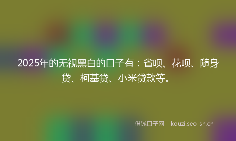 2025年的无视黑白的口子有：省呗、花呗、随身贷、柯基贷、小米贷款等。