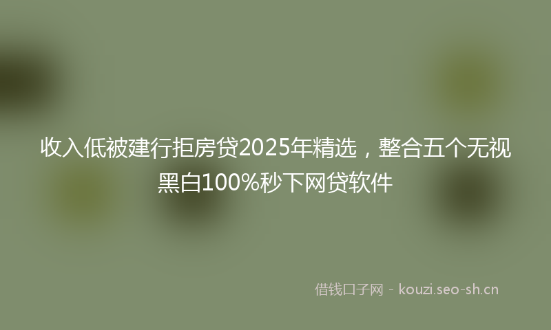 收入低被建行拒房贷2025年精选，整合五个无视黑白100%秒下网贷软件