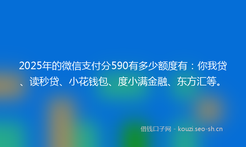 2025年的微信支付分590有多少额度有：你我贷、读秒贷、小花钱包、度小满金融、东方汇等。