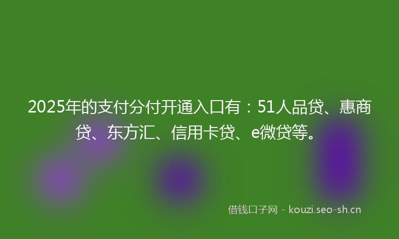 2025年的支付分付开通入口有:51人品贷、惠商贷、东方汇、信用卡贷、e微贷等。