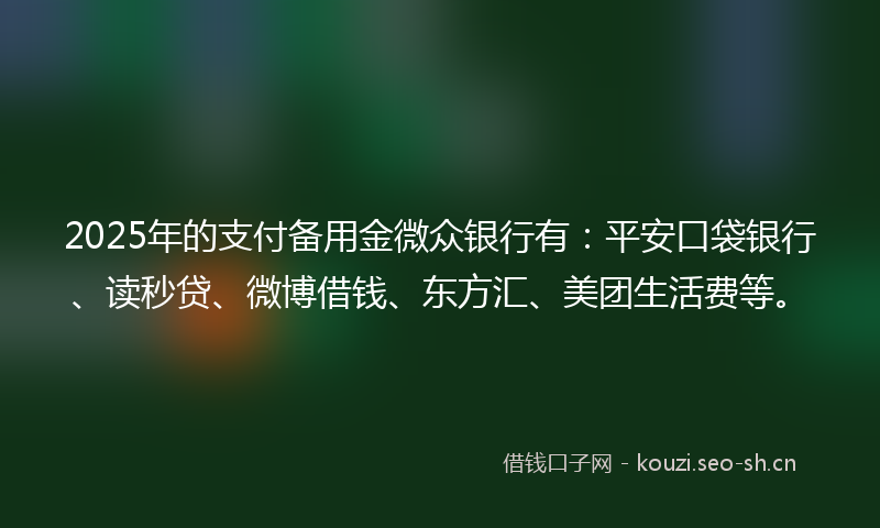 2025年的支付备用金微众银行有：平安口袋银行、读秒贷、微博借钱、东方汇、美团生活费等。