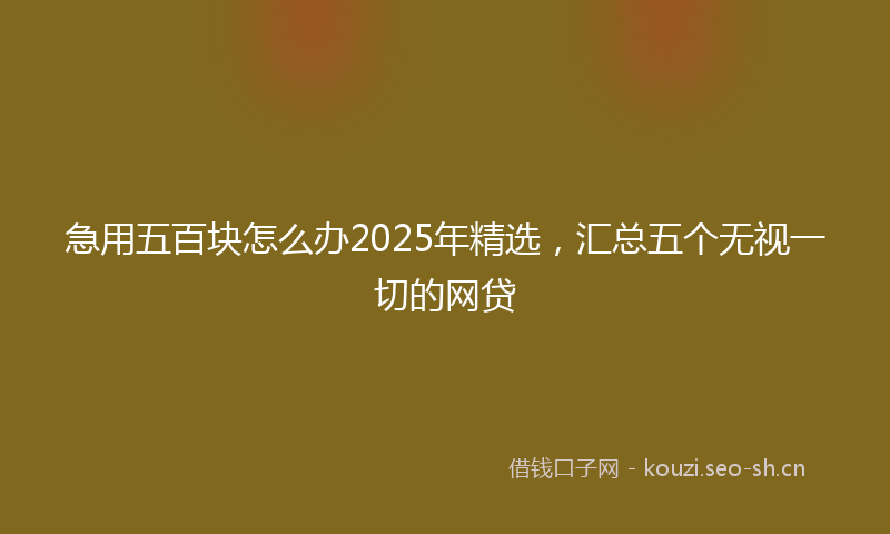 急用五百块怎么办2025年精选，汇总五个无视一切的网贷