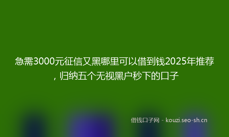 急需3000元征信又黑哪里可以借到钱2025年推荐，归纳五个无视黑户秒下的口子
