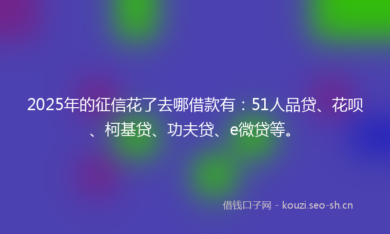 2025年的征信花了去哪借款有：51人品贷、花呗、柯基贷、功夫贷、e微贷等。